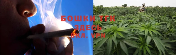 спайс Богородицк
