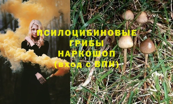 гидра Балахна