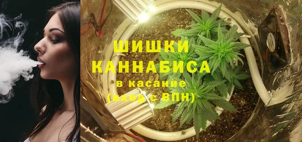 спайс Богородицк