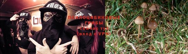 альфа пвп Богданович