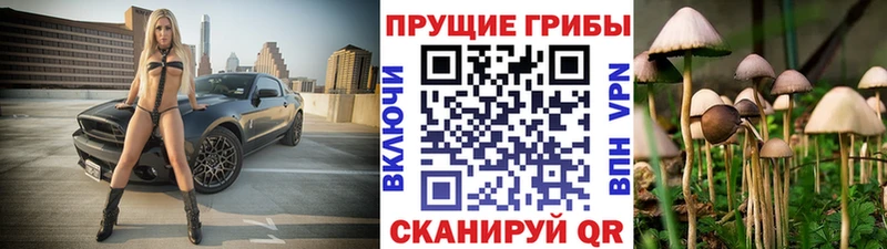 Галлюциногенные грибы Psilocybine cubensis Купить закладки Нерчинск
