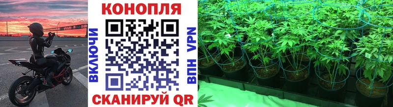 Купить Нерчинск МАРИХУАНА Amnesia